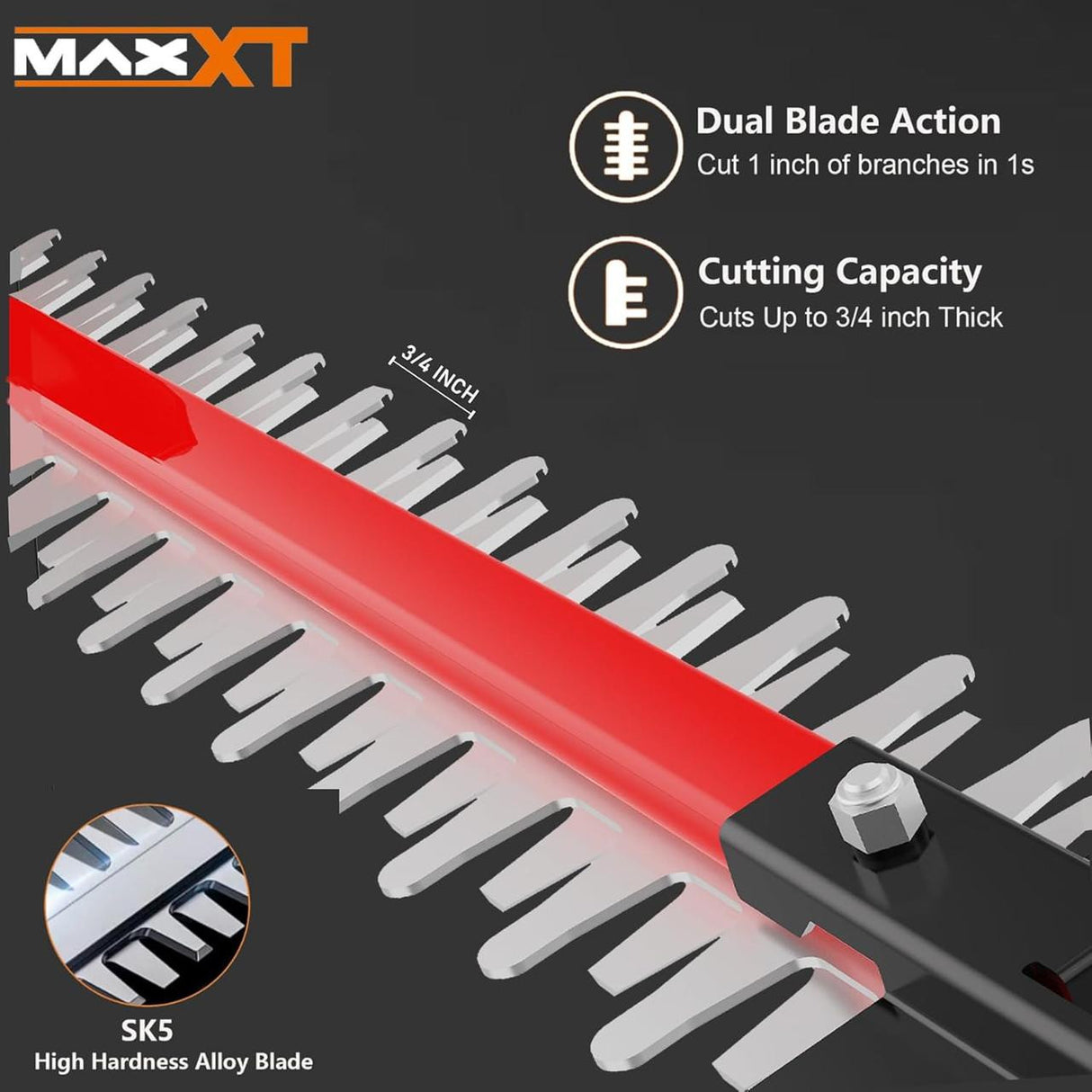 Powerful Dual-Action Blade: