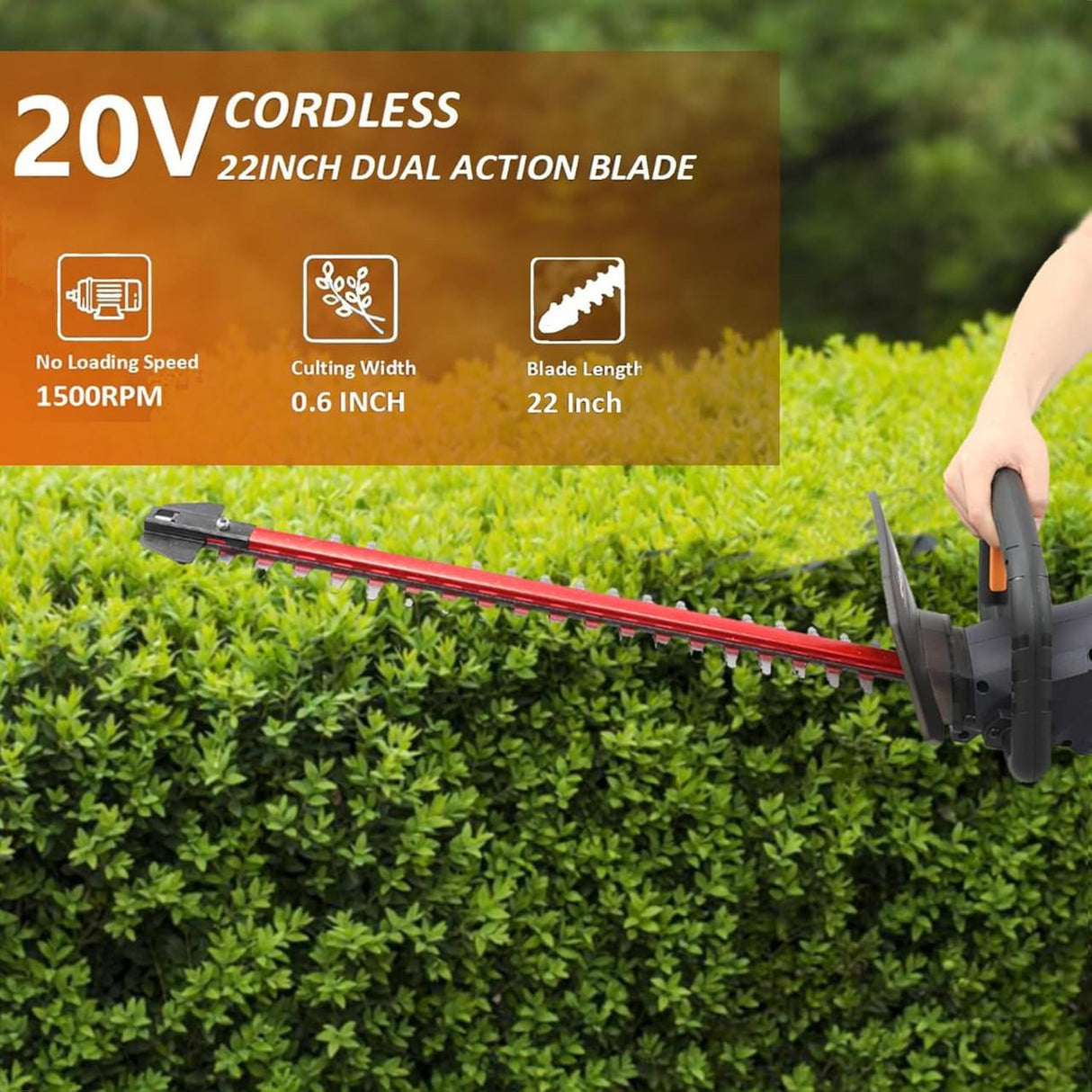 MAXXT Cordless Hedge Trimmer 22''/ 56cm, Brushless 2800SPM, Dual-Action Blades, 2.0Ah Battery and Charger| BG4301-UK