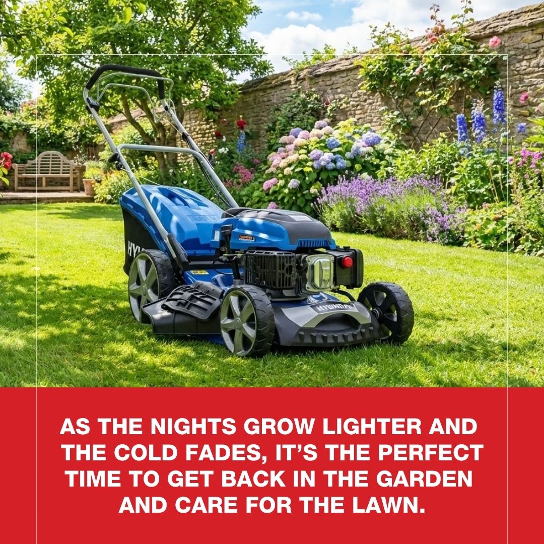 6 Tips For Cutting Your Grass With a Lawn Mower