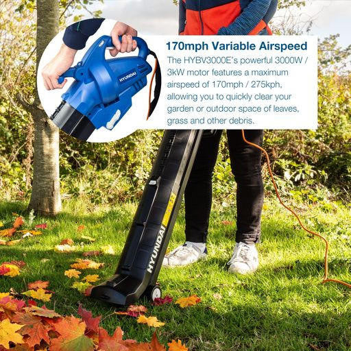 Variable Speed Leaf Blower