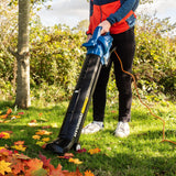 Electric leaf blower / vacuum