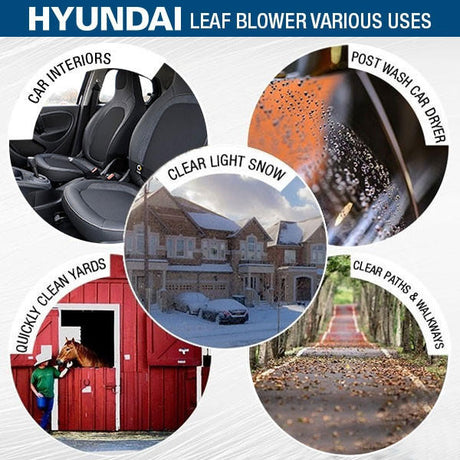 leaf blower various uses
