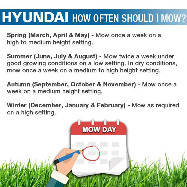 Spring - Mow once a week on a high to medium height setting
Summer - Mow twice a week under good growing conditions on a low setting. In dry conditions, mow once a week on medium to high setting.
Autumn - Mow once a week on medium height setting.
Winter - Mow as required on a high setting.