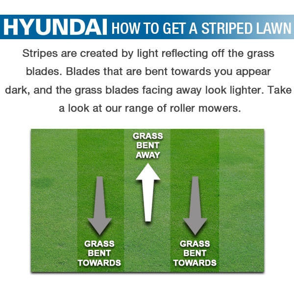Striped are created by light reflecting off the grass blades. Blades that are bent towards you appear dark, and the grass blades facing way look lighter. Roller lawn mowers allow you bend the grass to achieve a striped lawn.