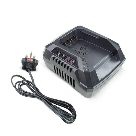 HYCH402 Charger