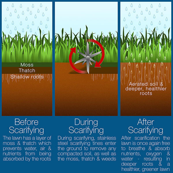 Scarifier depth
