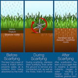 Scarifier depth