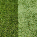 Artificial Grass