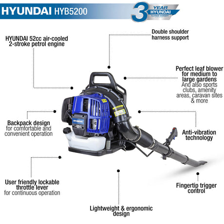 Blower Infographic