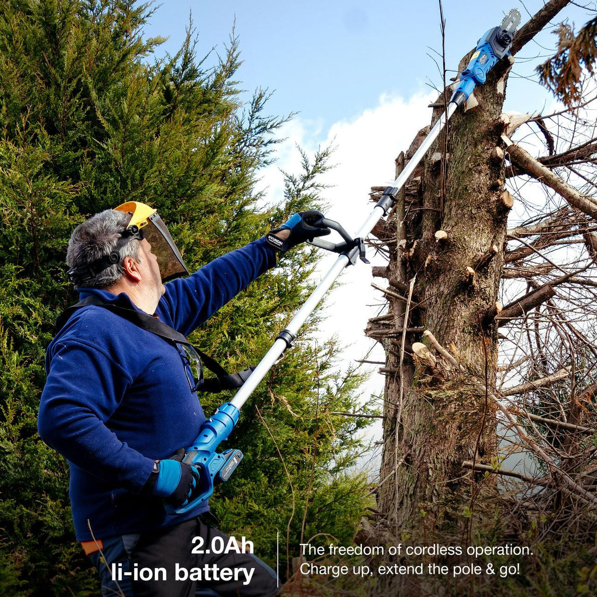 HY20CPS Hyundai long reach pole saw