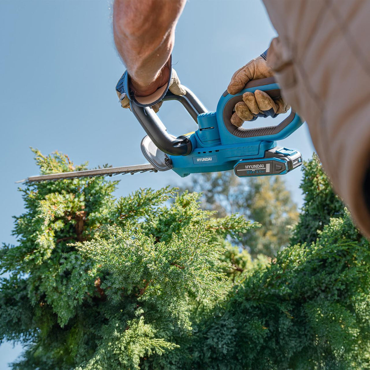 Hyundai 20V 510mm Cordless Hedge Trimmer, 2.0Ah Li-ion Battery, Lightweight & Powerful | HY20CHT