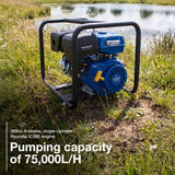 Hyundai 100mm 4" Petrol Clean Water Pump, 20m Total Head, 7m Lift, 1250L/min Flow Rate| HY100