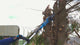 Hyundai 20V Cordless Pole Saw, 2Ah Battery and Charger, Lightweight and Telescopic Chainsaw | HY20CPS