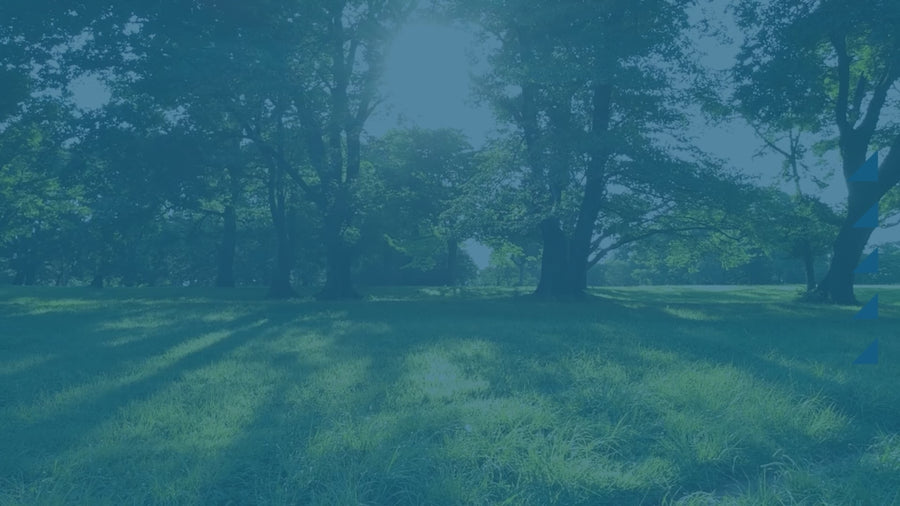 Hyundai 52cc Petrol Grass Trimmer / Brushcutter | HYBC5200X — video