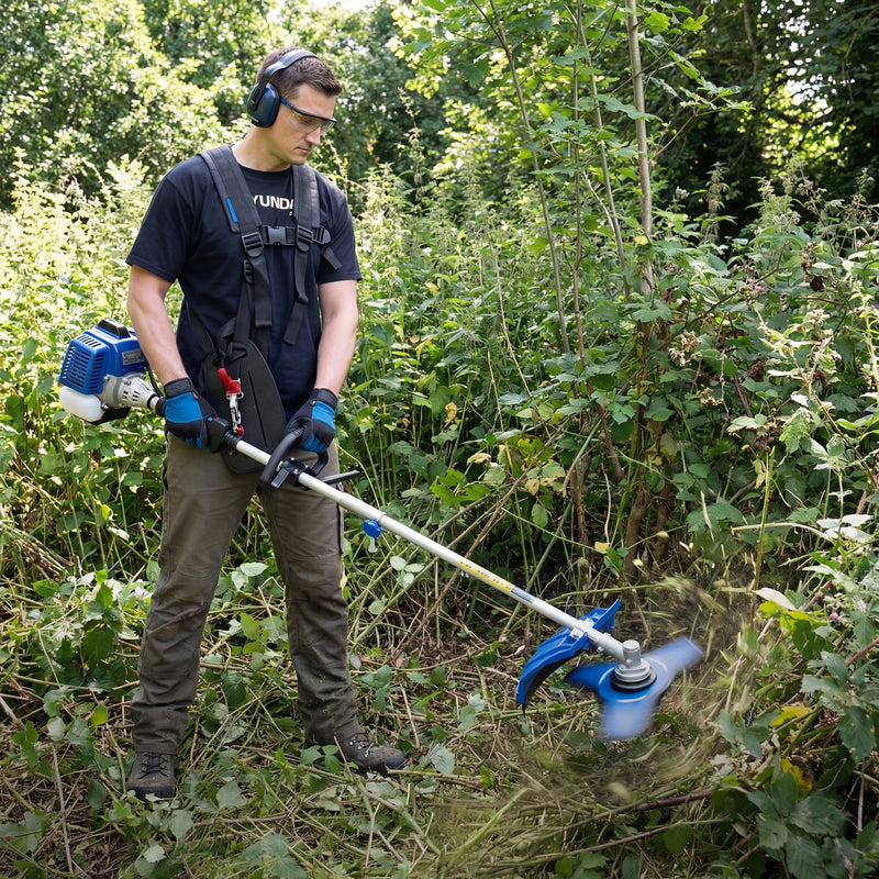 Cut through thick undergrowth