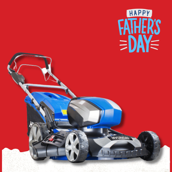 Lawnmowers for Father's Day Gift Ideas
