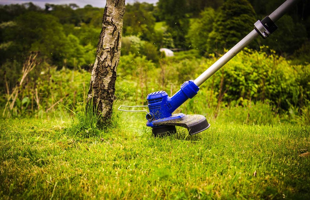 Can you use a 2024 strimmer on wet grass