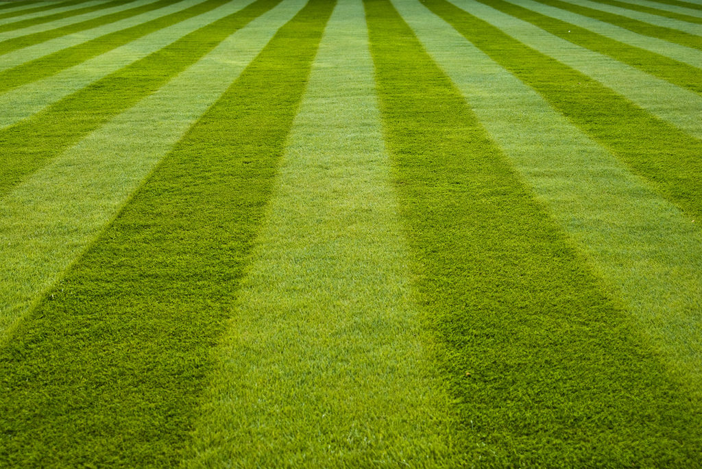 Cut grass clearance